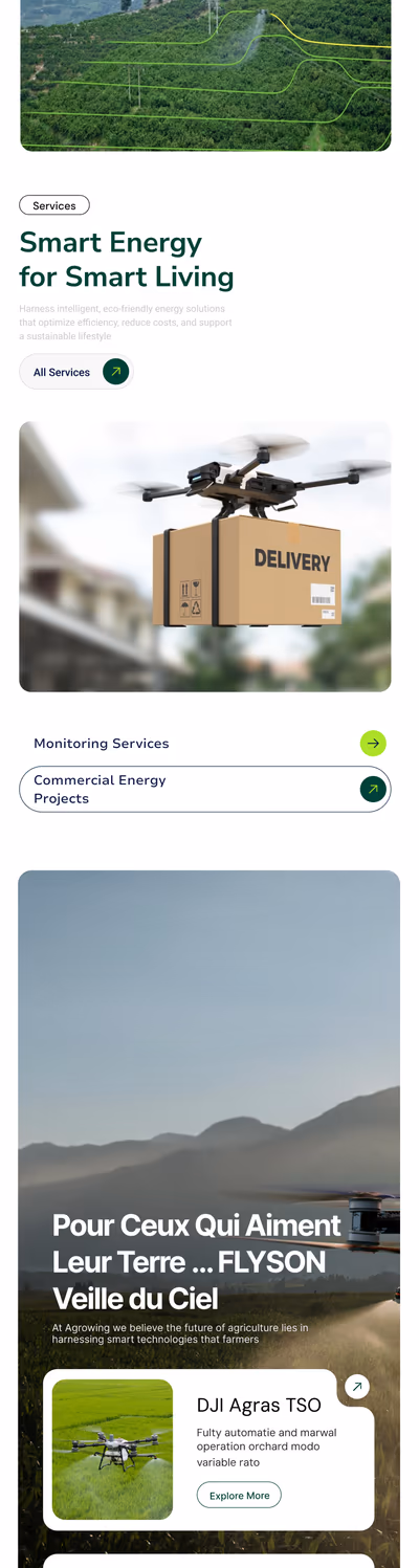 Site Flyzon — version mobile